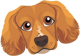 Trusted Ruddington heating engineers Trusted Ruddington heating engineers dog