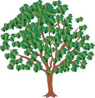 Plumbing services Ruddington tree