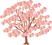 Ruddington expert boilers tree