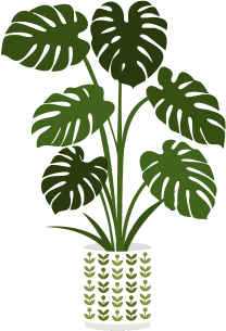 Expert boiler services plant