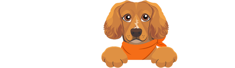 Meet Ruddington plumbing heating dog
