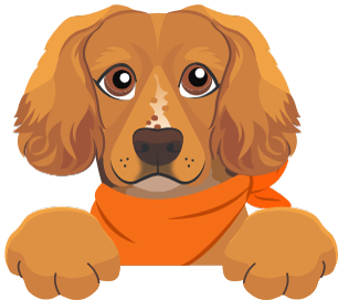 Ruddington Heating trust dog
